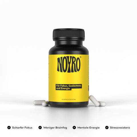 Fokus, Gedächtnis & Energie