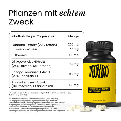 Fokus, Gedächtnis & Energie