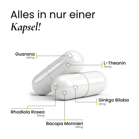 Fokus, Gedächtnis & Energie