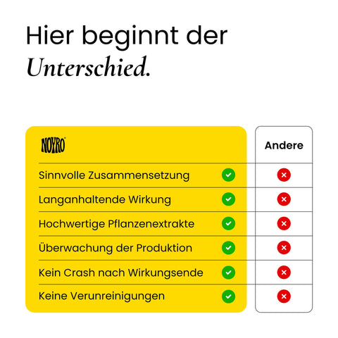 Fokus, Gedächtnis & Energie